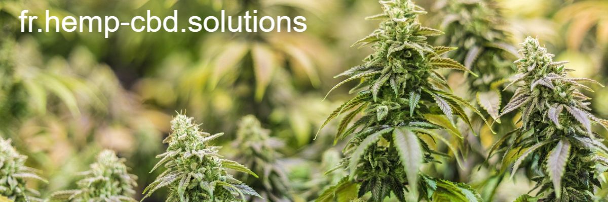 fr.hemp-cbd.solutions
